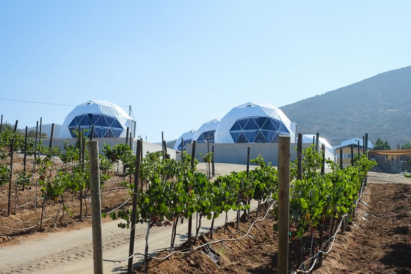 Luxury accommodation in wine country